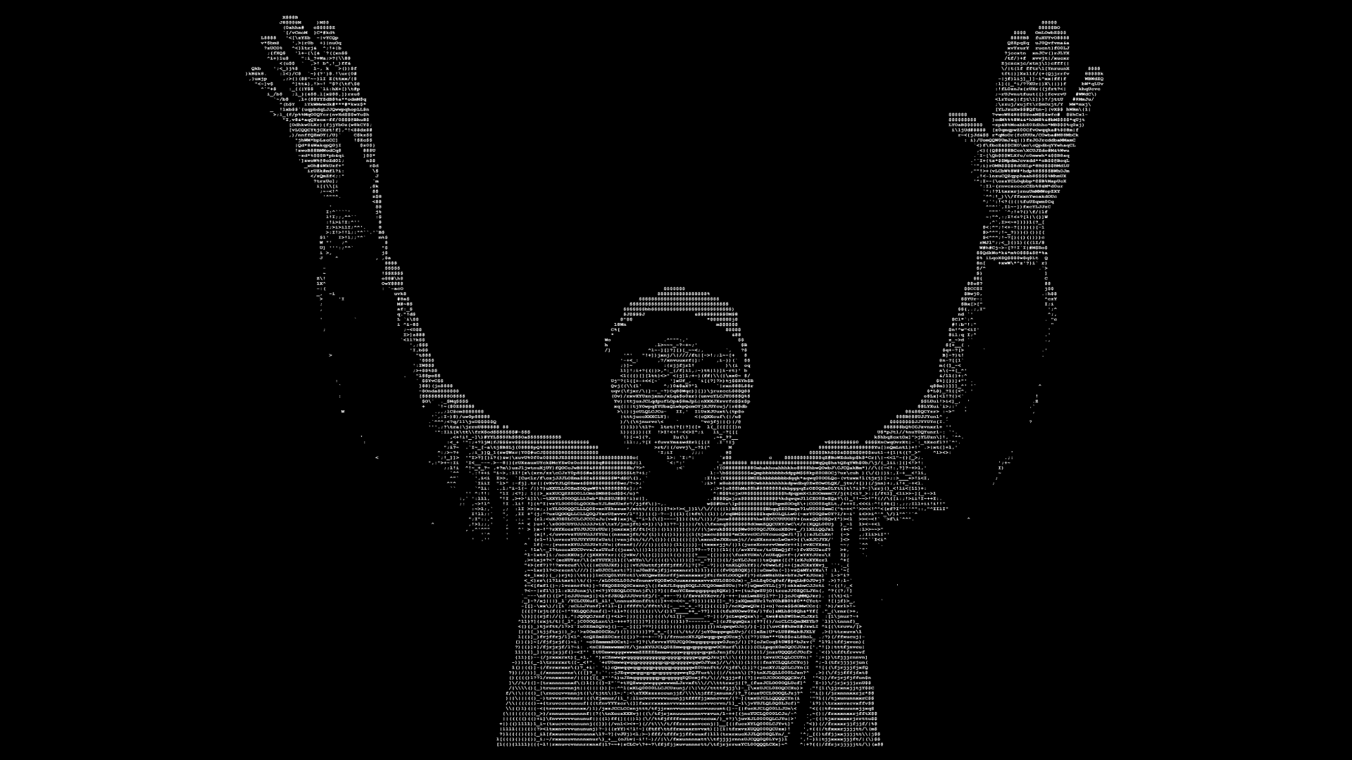 ASCIImotion